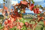cache/resized/8ae7db3fe95547bb9b5703f509655186.jpg