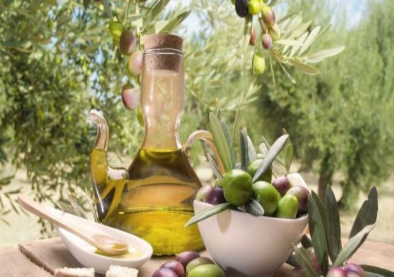 Zgodovina oljkarstva v Istri
